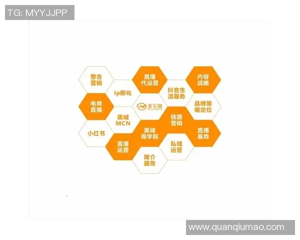 以策划为核心的创新路径:构建全新战略布局推动品牌快速崛起