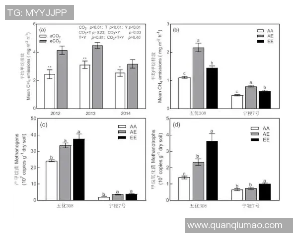 全球气候变化加剧极端天气现象 科学家呼吁全球合作应对未来挑战