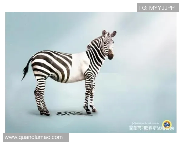 创新广告设计:打破常规,打造品牌独特视觉体验与传播价值