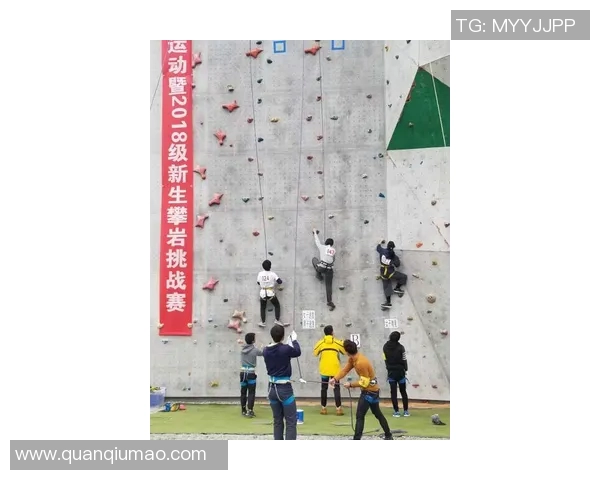 成都攀岩队实力解析：各队员技术与体能全面对比分析