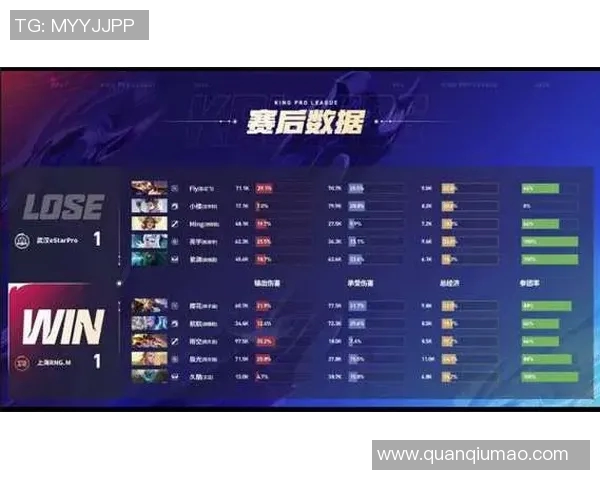 王者荣耀专题深入分析RNG战队的比赛经验与策略分享