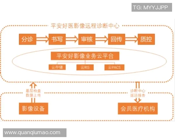 智能医疗助力健康管理创新,推动精准诊疗与远程医疗服务融合发展
