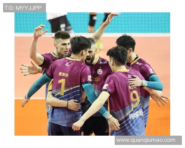 上海排球队总决赛逆袭之路揭秘团结与拼搏的力量