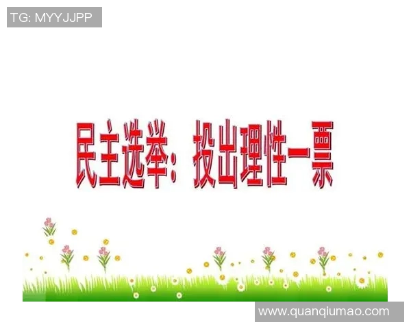 选举制度的演变与全球民主进程的影响分析