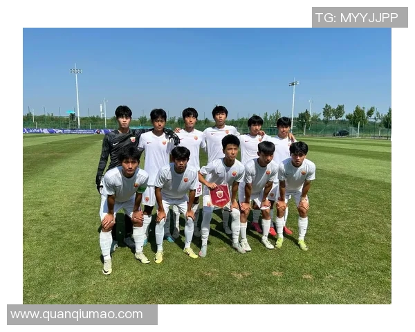 中国足球明星在各大联赛和地区的分布现状分析与影响探讨 中国足球明星在各大联赛和地区的分布现状分析与影响探讨